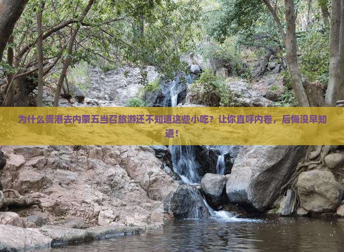贵港去内蒙五当召旅游小吃