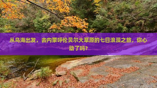 乌海市到内蒙呼伦贝尔大草原七日游