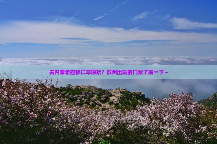 滨州去内蒙希拉穆仁草原门票