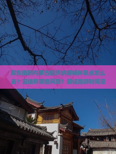 黔东南到内蒙额济纳胡杨林景点