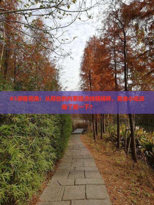 邢台去内蒙额济纳胡杨林旅游小吃