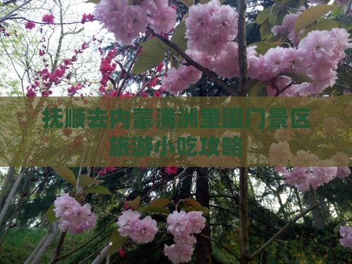 抚顺去内蒙满洲里国门景区旅游小吃