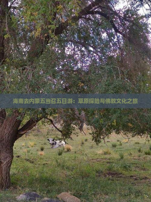 海南去内蒙五当召五日游