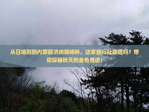 日喀则去内蒙额济纳胡杨林旅行社