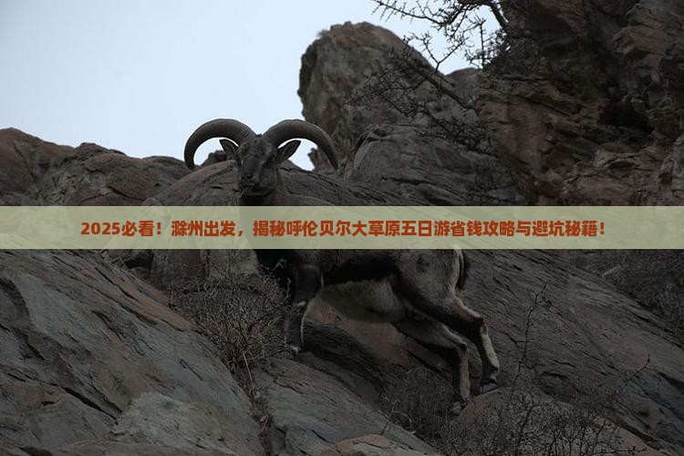 滁州去内蒙呼伦贝尔大草原五日游