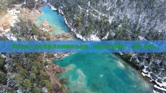 萍乡去内蒙额济纳胡杨林自由团
