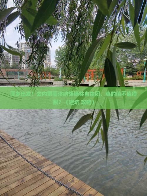 萍乡去内蒙额济纳胡杨林自由团