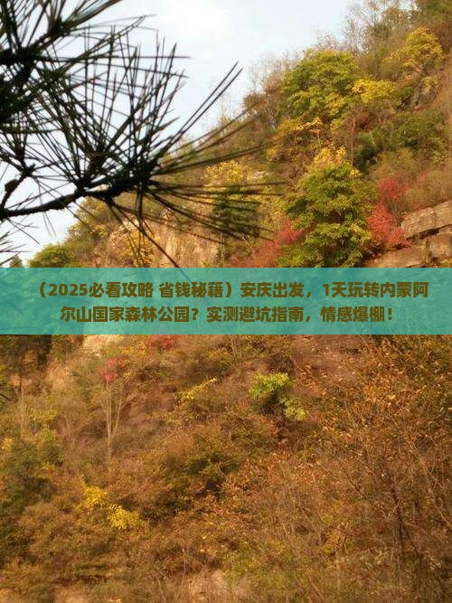安庆到内蒙阿尔山国家森林公园一日游