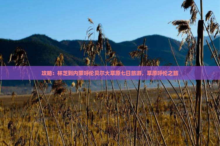 林芝到内蒙呼伦贝尔大草原七日游