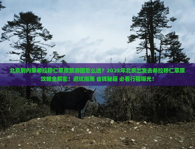 北京到内蒙希拉穆仁草原大型旅游团