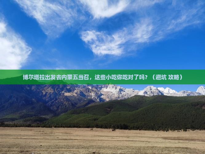 博尔塔拉去内蒙五当召旅游小吃