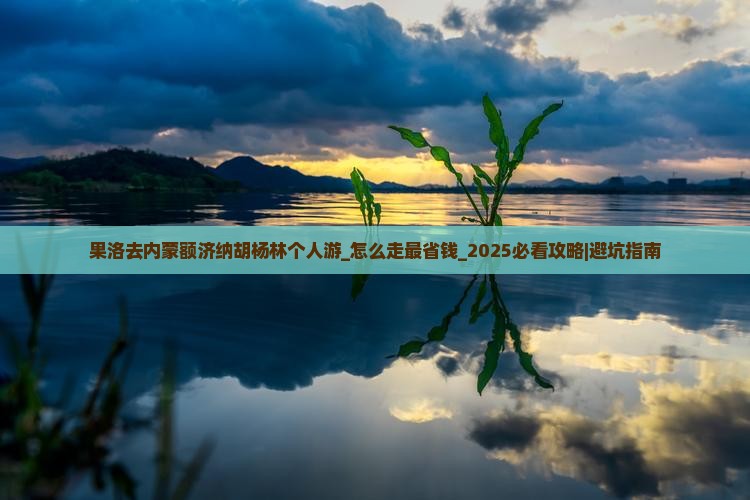 果洛去内蒙额济纳胡杨林个人游