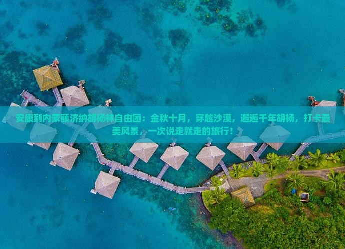 安康到内蒙额济纳胡杨林自由团