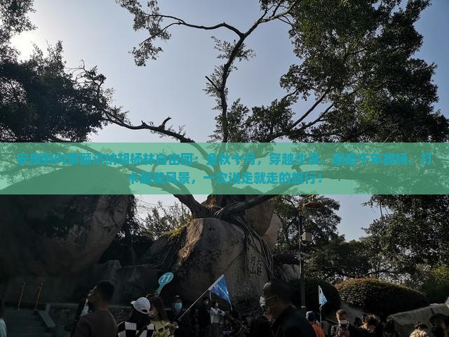 安康到内蒙额济纳胡杨林自由团