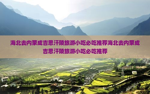 海北去内蒙成吉思汗陵旅游小吃