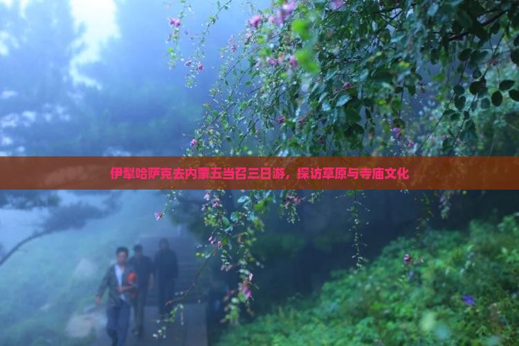 伊犁哈萨克去内蒙五当召三日游 伊犁哈萨克去内蒙五当召三日游