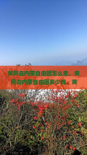 黄冈去内蒙自由团