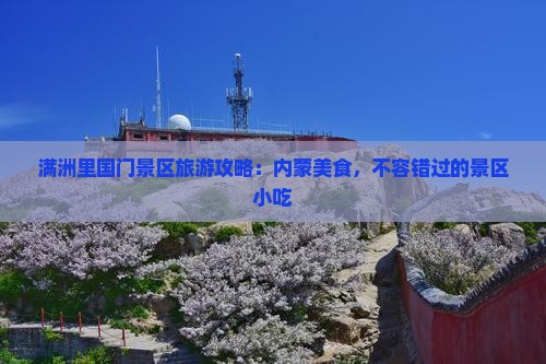 伊犁去内蒙满洲里国门景区旅游小吃