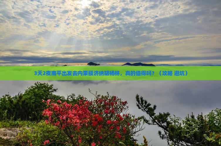 南平去内蒙额济纳胡杨林自由行