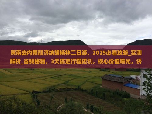 黄南去内蒙额济纳胡杨林二日游