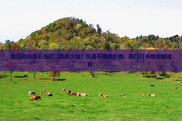 黑河到内蒙五当召门票