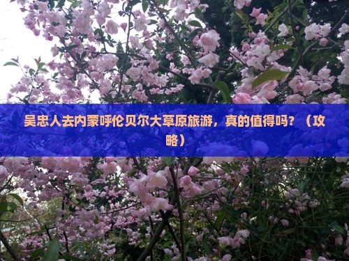 吴忠去内蒙呼伦贝尔大草原旅游