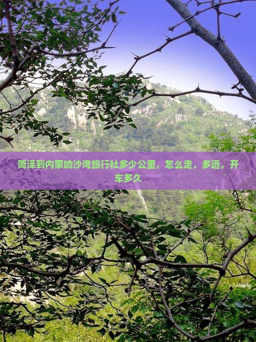 菏泽到内蒙响沙湾旅行社