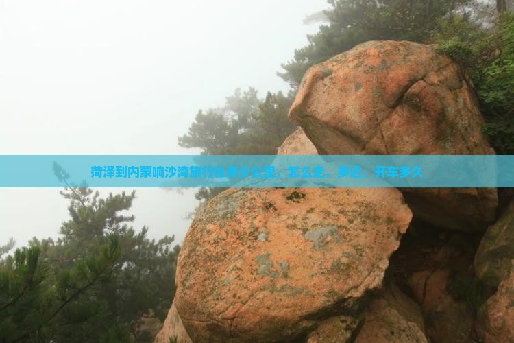 菏泽到内蒙响沙湾旅行社