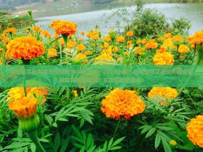呼伦贝尔到内蒙五当召旅游小吃