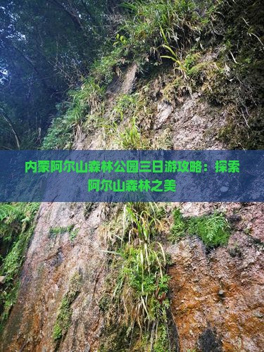 乌海市到内蒙阿尔山国家森林公园三日游