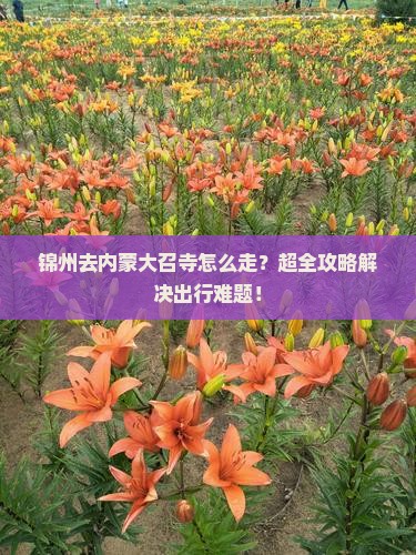 锦州去内蒙大召寺旅行社