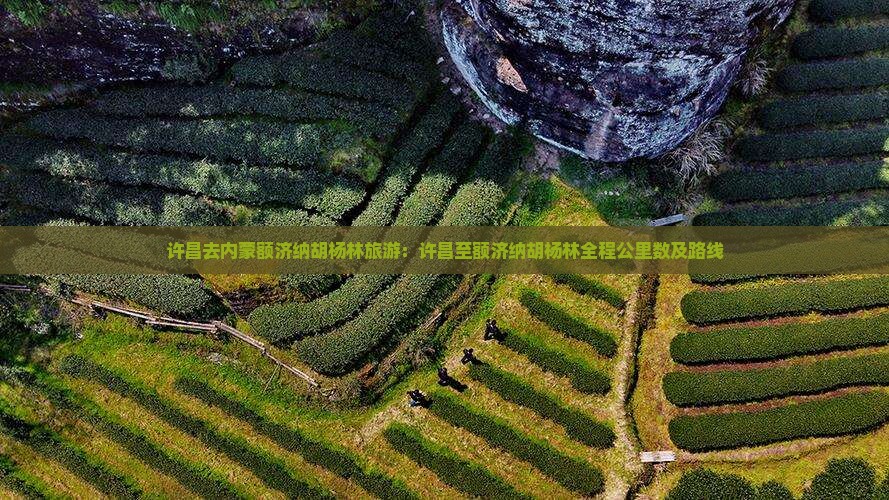 许昌去内蒙额济纳胡杨林旅游：许昌至额济纳胡杨林全程公里数及路线