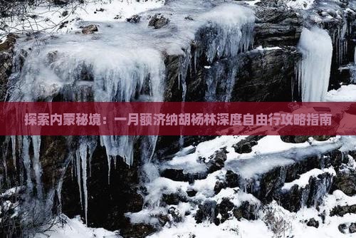 探索内蒙秘境：一月额济纳胡杨林深度自由行攻略指南