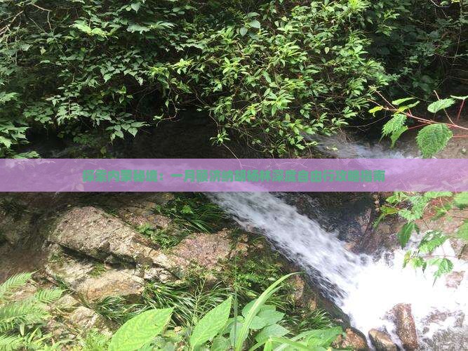 探索内蒙秘境：一月额济纳胡杨林深度自由行攻略指南