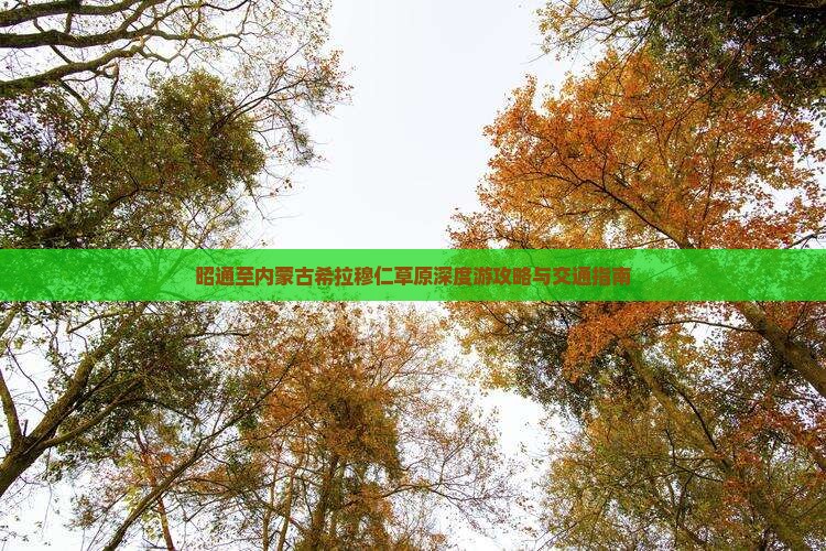 昭通至内蒙古希拉穆仁草原深度游攻略与交通指南