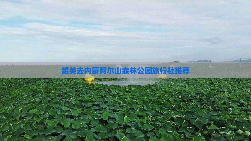 韶关去内蒙阿尔山森林公园旅行社推荐