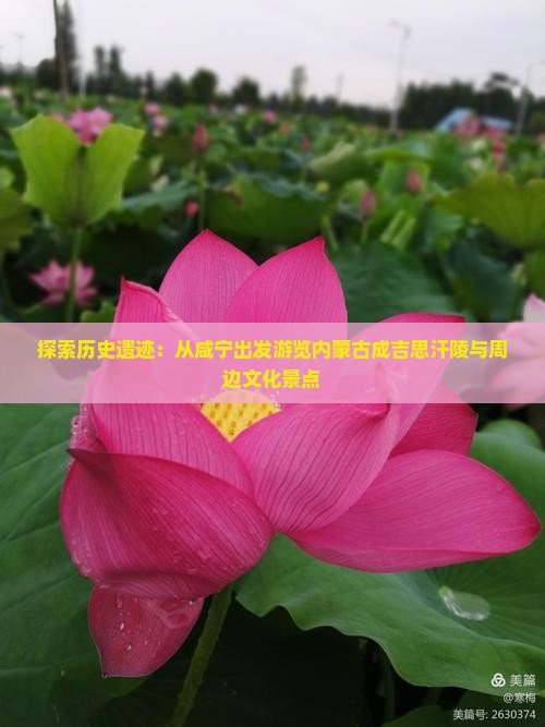 探索历史遗迹：从咸宁出发游览内蒙古成吉思汗陵与周边文化景点