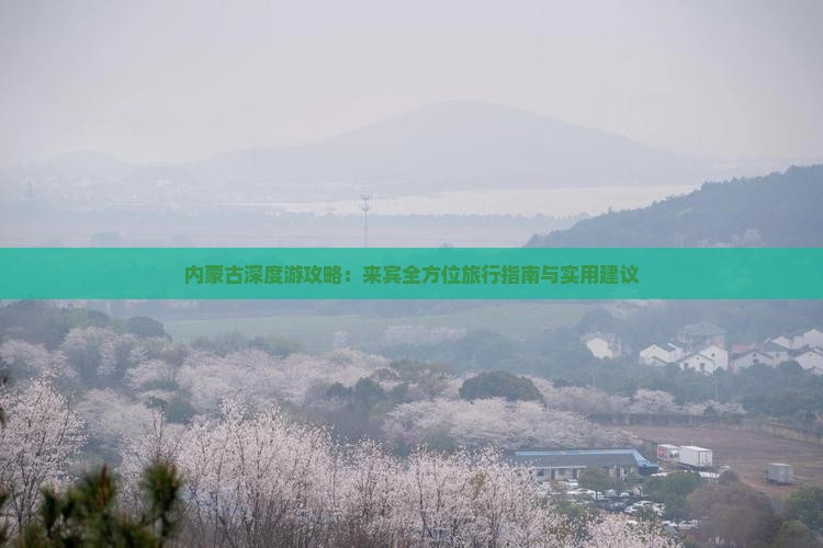 内蒙古深度游攻略：来宾全方位旅行指南与实用建议