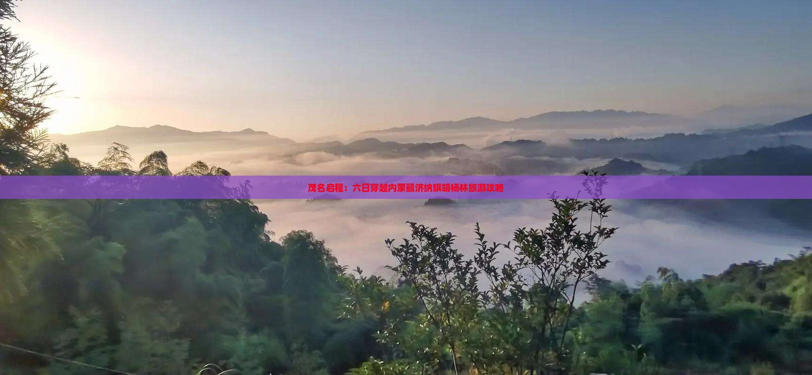 茂名启程：六日穿越内蒙额济纳旗胡杨林旅游攻略