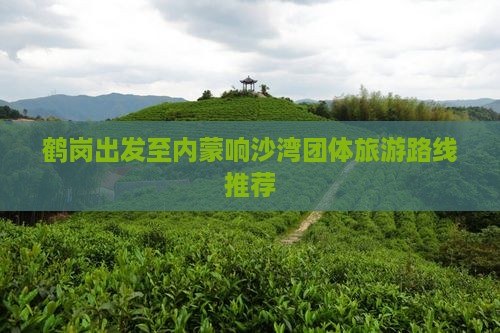 鹤岗出发至内蒙响沙湾团体旅游路线推荐
