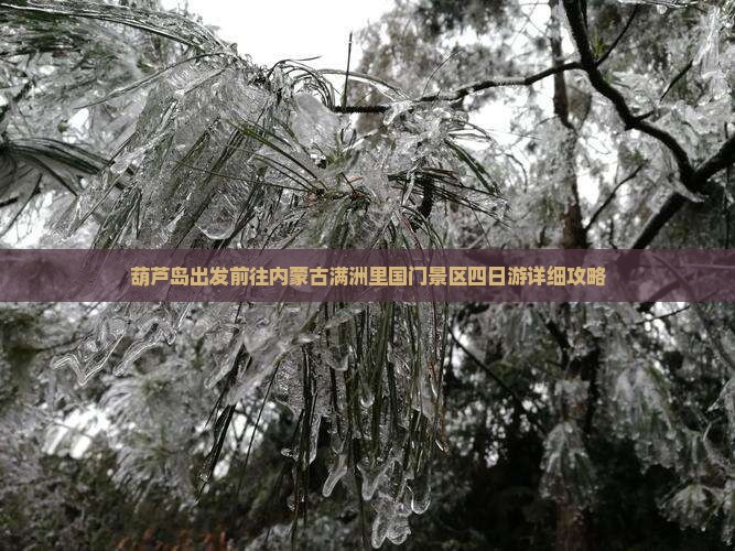 葫芦岛出发前往内蒙古满洲里国门景区四日游详细攻略