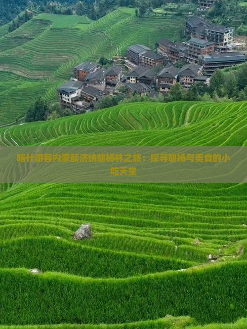 喀什游客内蒙额济纳胡杨林之旅：探寻胡杨与美食的小吃天堂