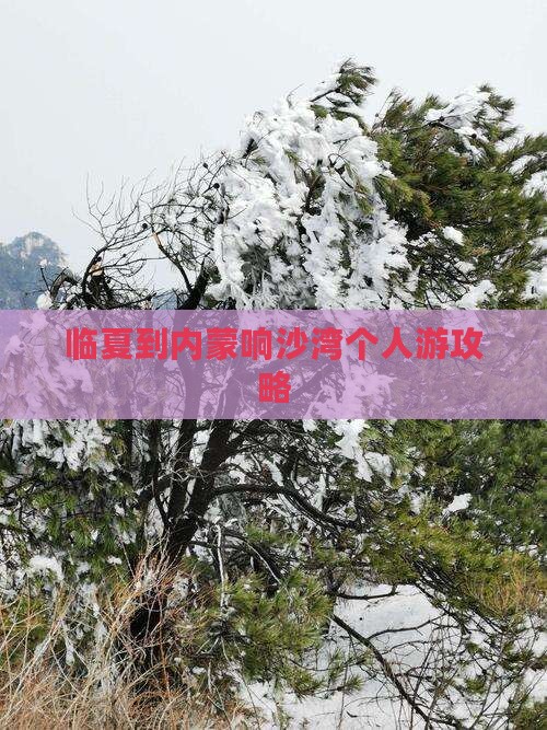 临夏到内蒙响沙湾个人游攻略