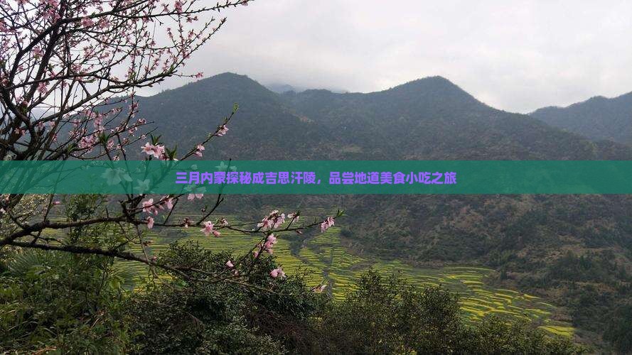 三月内蒙探秘成吉思汗陵，品尝地道美食小吃之旅