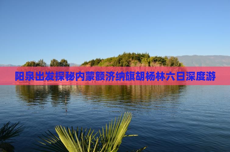 阳泉出发探秘内蒙额济纳旗胡杨林六日深度游