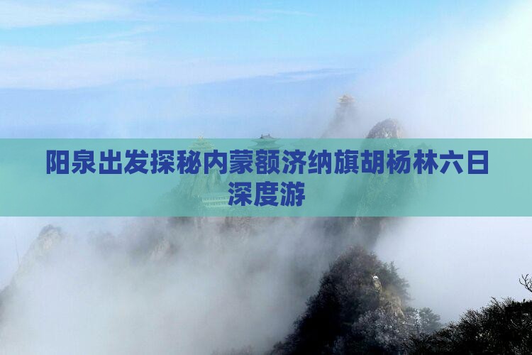 阳泉出发探秘内蒙额济纳旗胡杨林六日深度游