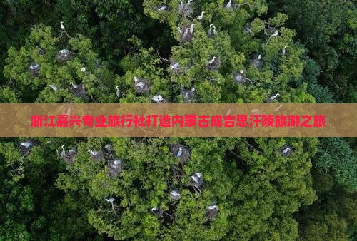 浙江嘉兴专业旅行社打造内蒙古成吉思汗陵旅游之旅