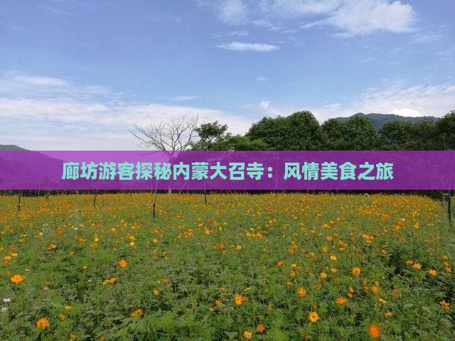 廊坊游客探秘内蒙大召寺:风情美食之旅 廊坊游客探秘内蒙大召寺:风情美食之旅