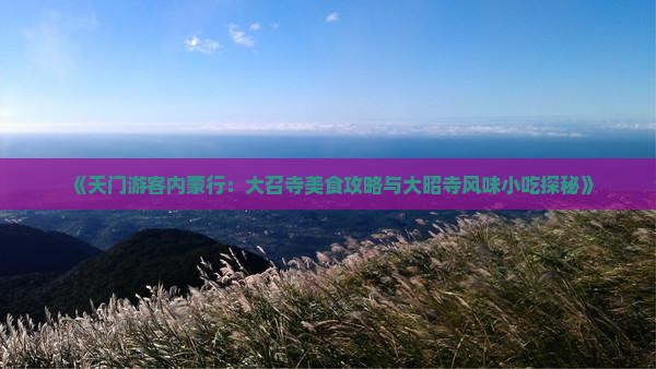 《天门游客内蒙行：大召寺美食攻略与大昭寺风味小吃探秘》