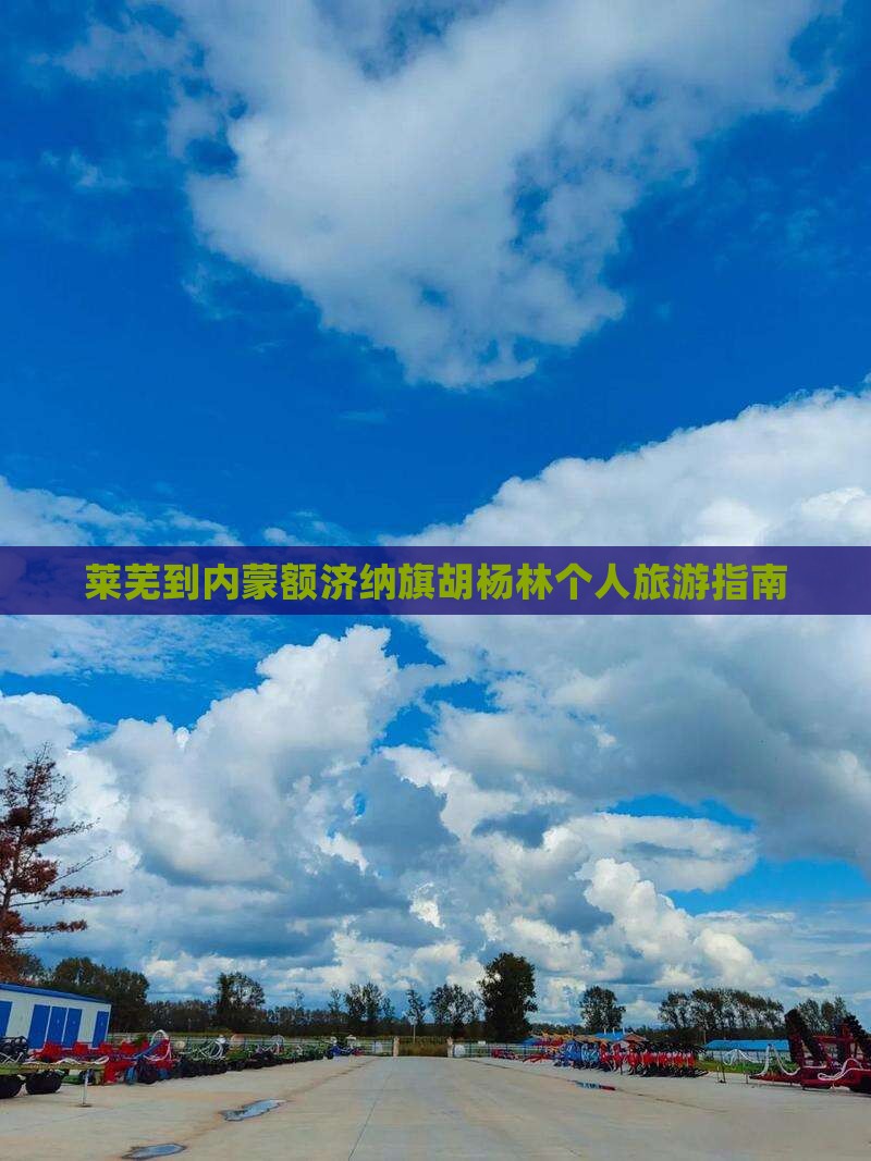 莱芜到内蒙额济纳旗胡杨林个人旅游指南